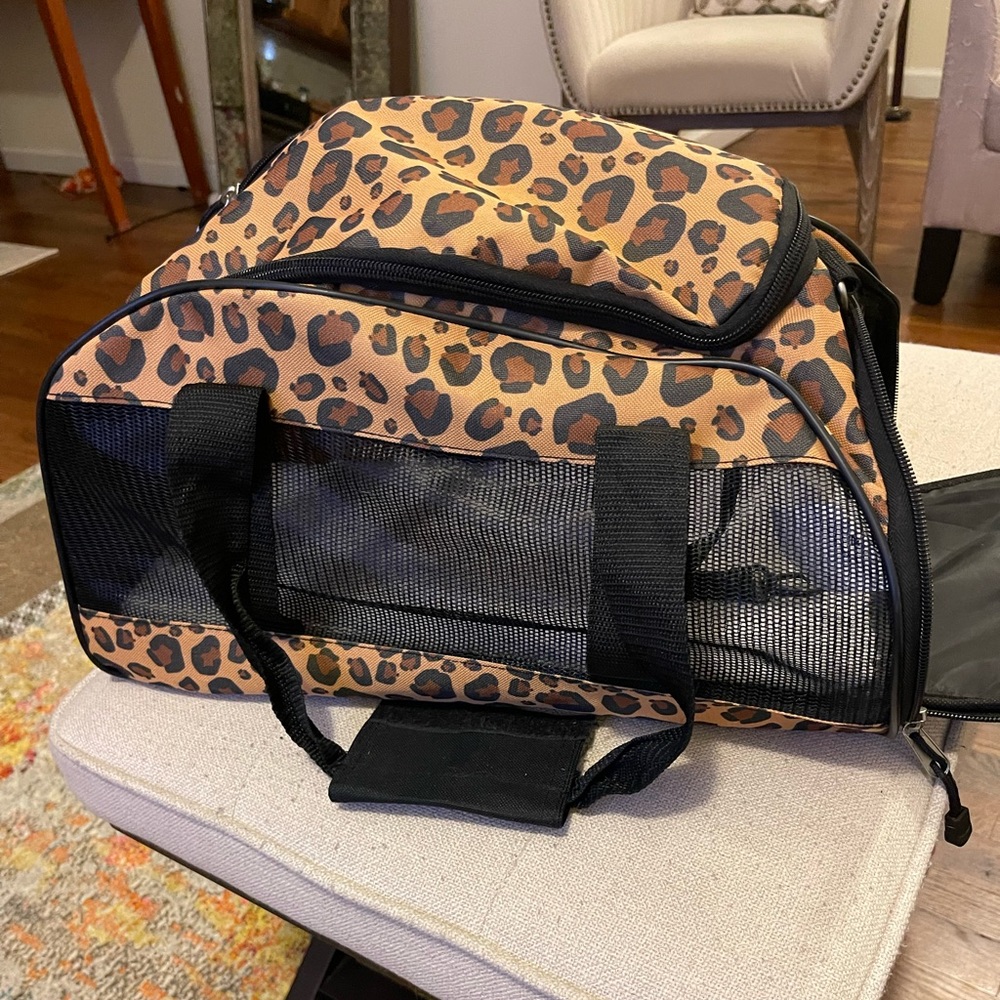 Pet travel carrier